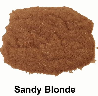 Sandy Blonde