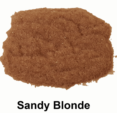 Sandy Blonde